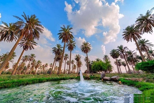 Serene Oasis Towns